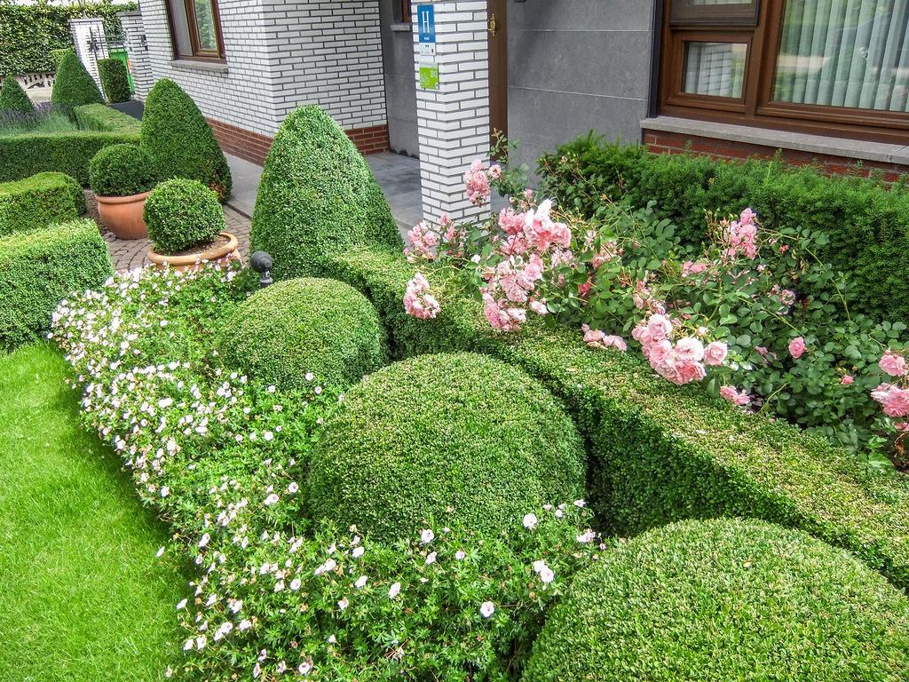 Hotel Wilgenhof Maaseik Kültér fotó